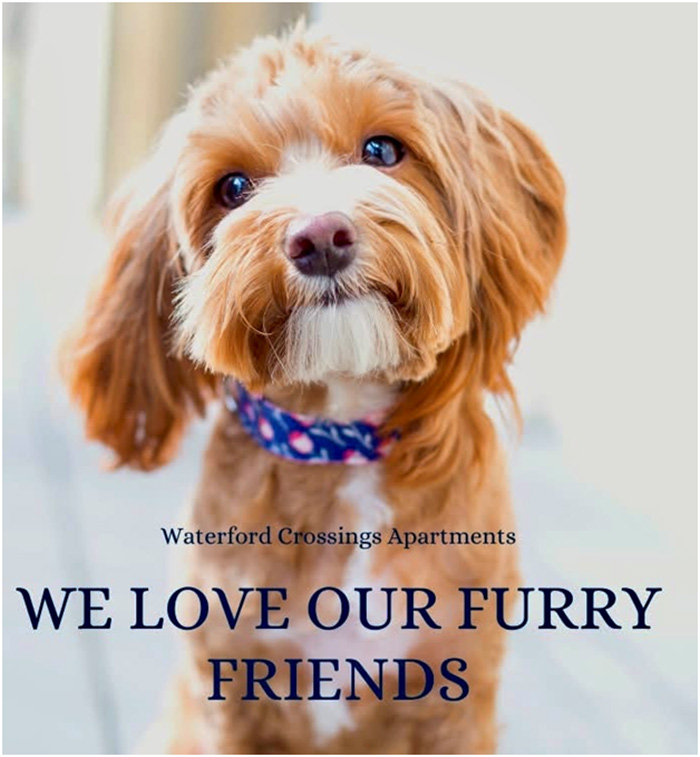 Furry Friends
