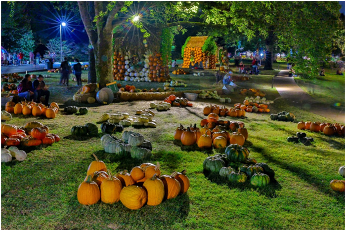 Cheekwood Harvest 