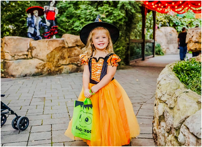 Boo at the Zoo