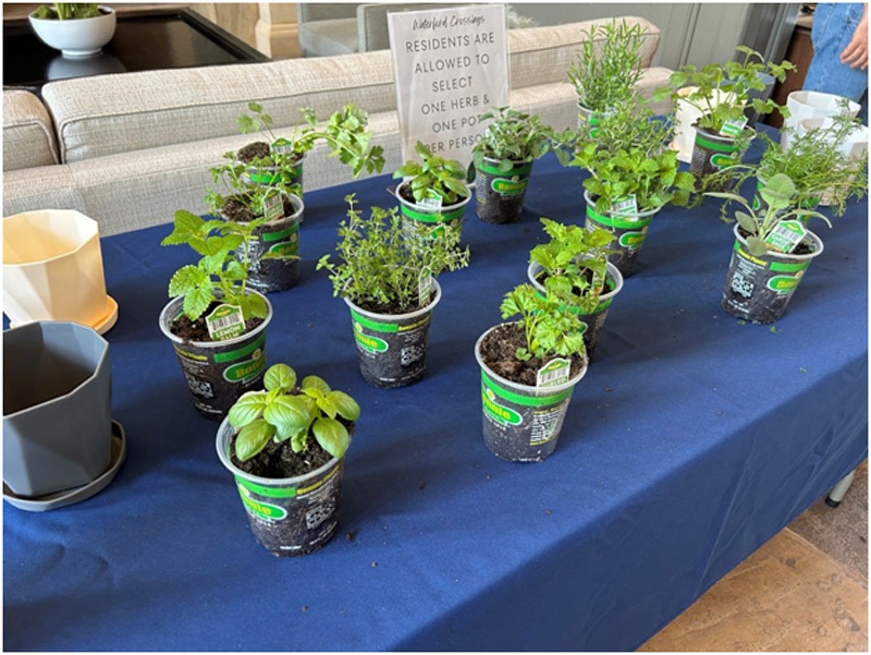 Resident Plant pickup