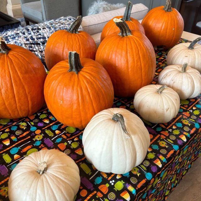 We had so much fun giving out pumpkins last week! It was wonderful to see all of our residents in the fall spirit. What's you're favorite thing about the fall season?
#waterfordcrossings #arlingtonproperties #halloween