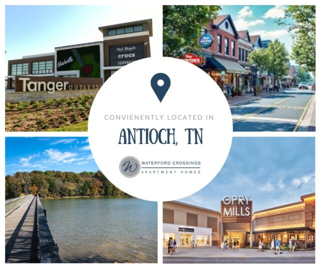 Love where you live! 💫
Waterford Crossing offers the perfect Antioch location — tucked away for peaceful living, yet minutes from all your favorite local spots and easy access to Nashville. It’s the best of both worlds! 🌟

Check it out: https://bit.ly/47QnI9M

#AntiochTN #ApartmentLiving #LoveWhereYouLive