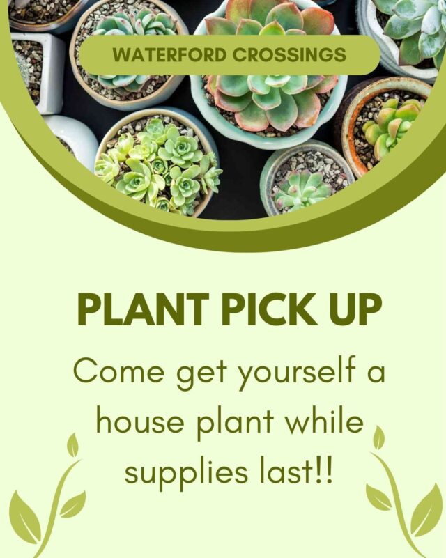 Stop by the office tomorrow to pick up your house plant while supplies last! 🪴🪴
