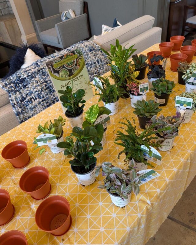 Thank you to everyone who came out for the plant pick up! We hope you enjoyed!